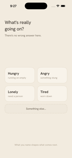 Check-in screen asking what's really going on, with options Hungry, Angry, Lonely, Tired.